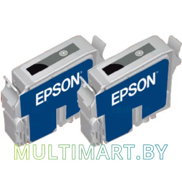 Набор картриджей Epson C13T03214210 картинка 2